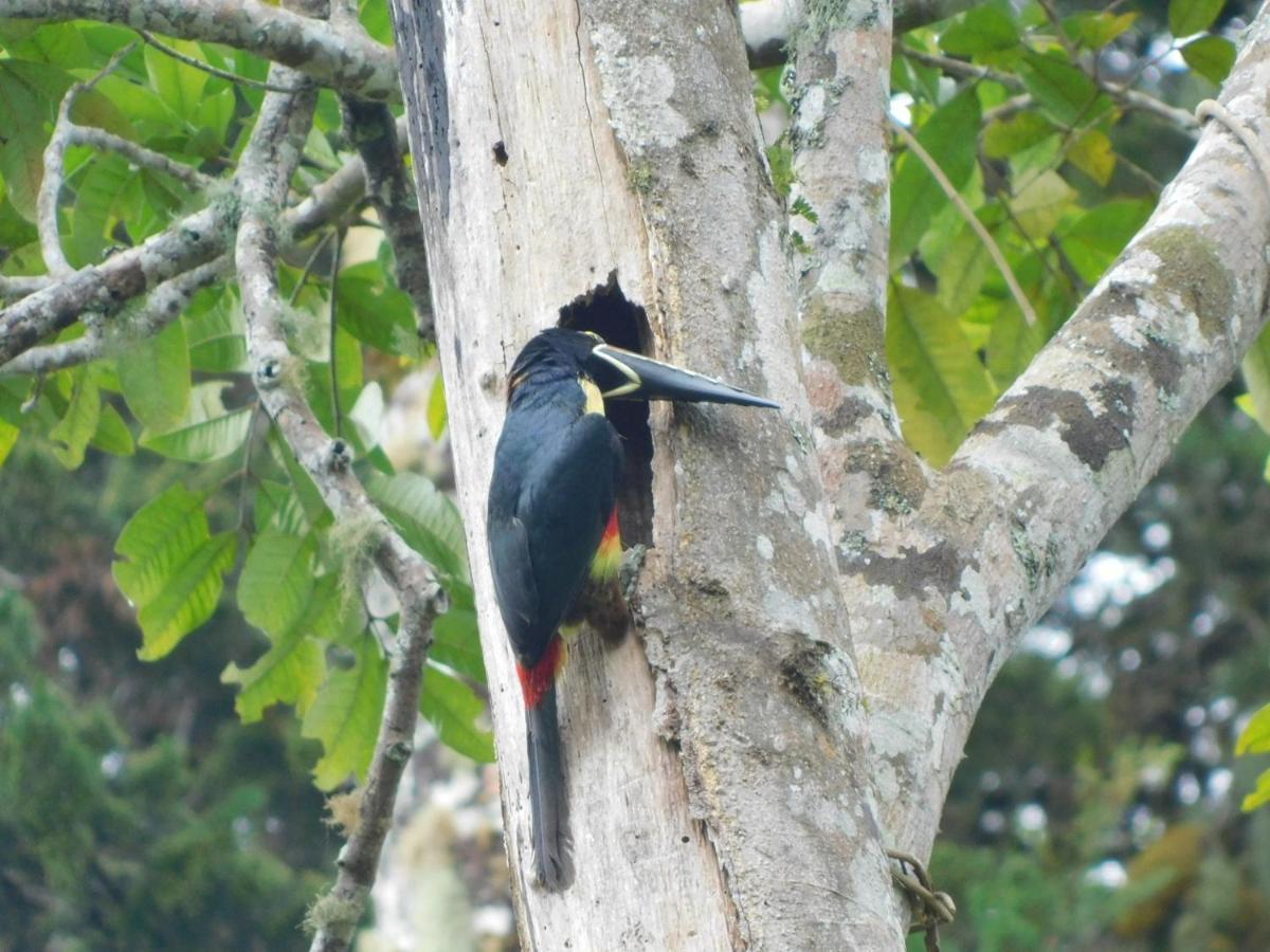 Guayabo Lodge Santa Cruz  المظهر الخارجي الصورة