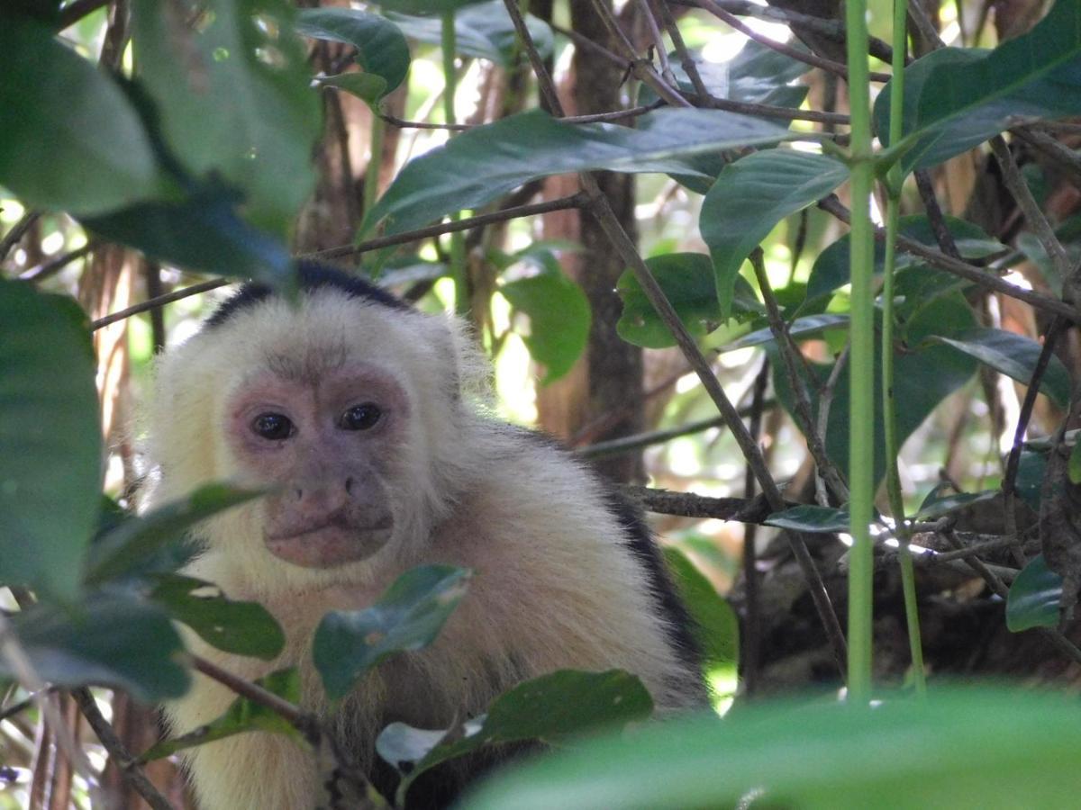 Guayabo Lodge Santa Cruz  المظهر الخارجي الصورة